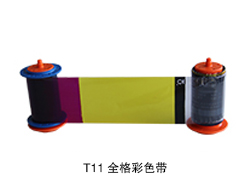 T11全格彩色带